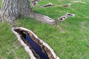 Красивые фото