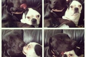 Улетное фото