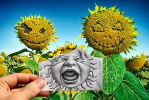 Фото онлайн