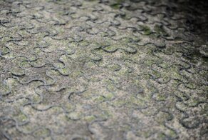 Как в Москве воруют газоны, или провал идеи экопарковок (11 фото)