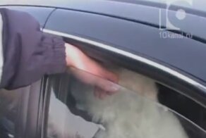 Общение с ГИБДД часть 416 (фото+видео)