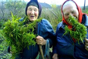 Смешные рисунки