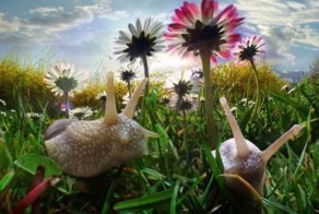 Пикантный фотоприкол