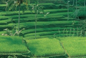 Фотоприкол недели