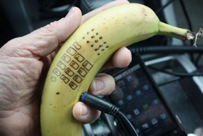 Фотоподборка