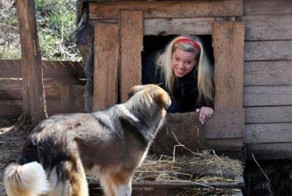 Шикарное фото