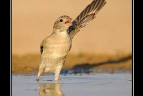 Смешной демотиватор от zubrilov за 11.05.2012 №111960