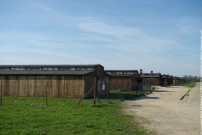 Фашизм не пройдёт! (36 фото)