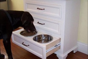 Новый фотоприкол