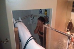 Фото прикол