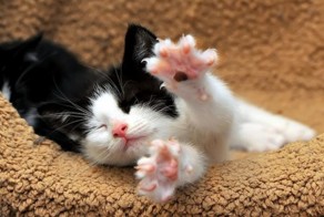 Отпадные фотки