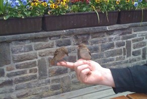 Фотоальбом