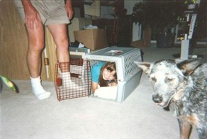 Фотоприкол онлайн бесплатно