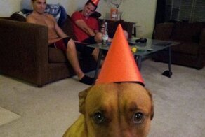 Фотоальбом