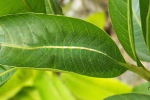 Фотоприкол недели