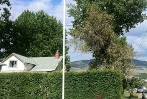 Фотка