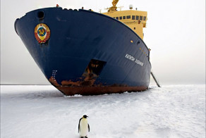 Смешные рисунки