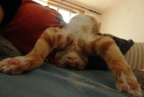 Фотоприкол онлайн