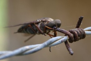 Фотоприкол недели