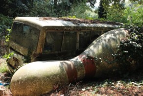 Фотоприкол бесплатно