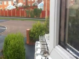 Подборка роликов от 22.05.2012