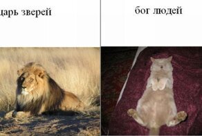 Свежий фотоприкол