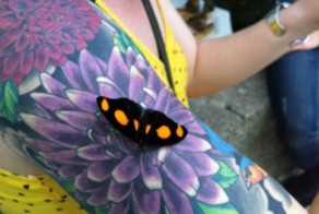 Прикольные фото