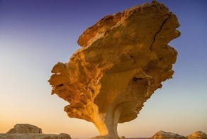 Фанни фото