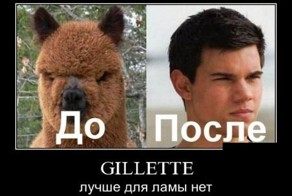 Смешной демотиватор от zubrilov за 06.06.2012 №114798