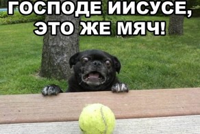 Юмор прикол