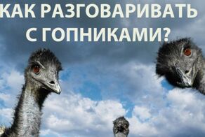 Фотоприкол