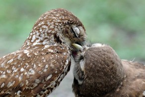 Фотоподборка