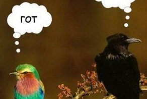 Прикольные фото