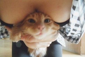 Фотоприкол онлайн бесплатно