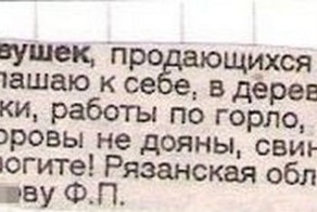 Свежий фотоприкол