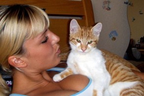 Фотоприкол фото