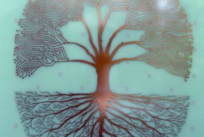 Фотоприкол онлайн бесплатно