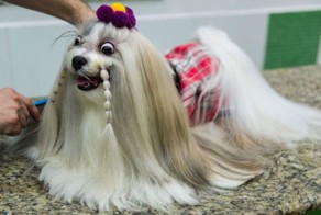 Смешные рисунки