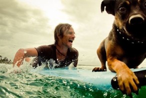 Фотоподборка