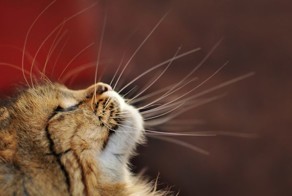 Крутые фотки