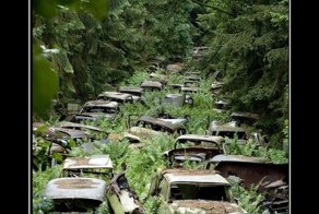 Смешной демотиватор от zubrilov за 15.06.2012 №115683