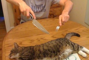 Улетное фото