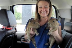 Бесплатный фотоприкол