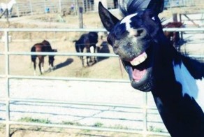 Фото онлайн