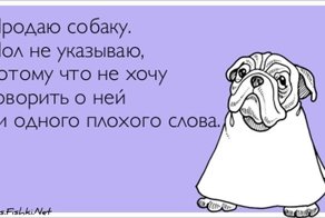 Прикольные открытки, часть 116168