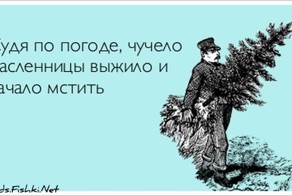 Прикольные открытки, часть 116249