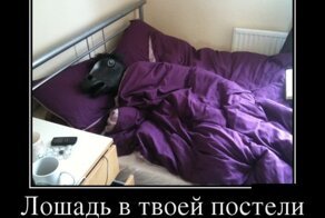 Смешной демотиватор от zubrilov за 20.06.2012 №116294