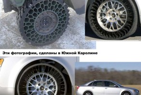 Прикольные фото и картинки от zubrilov за 20.06.2012 №116346