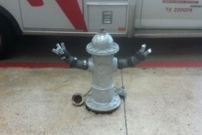 Шикарное фото