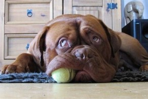 Смешной фотоприкол